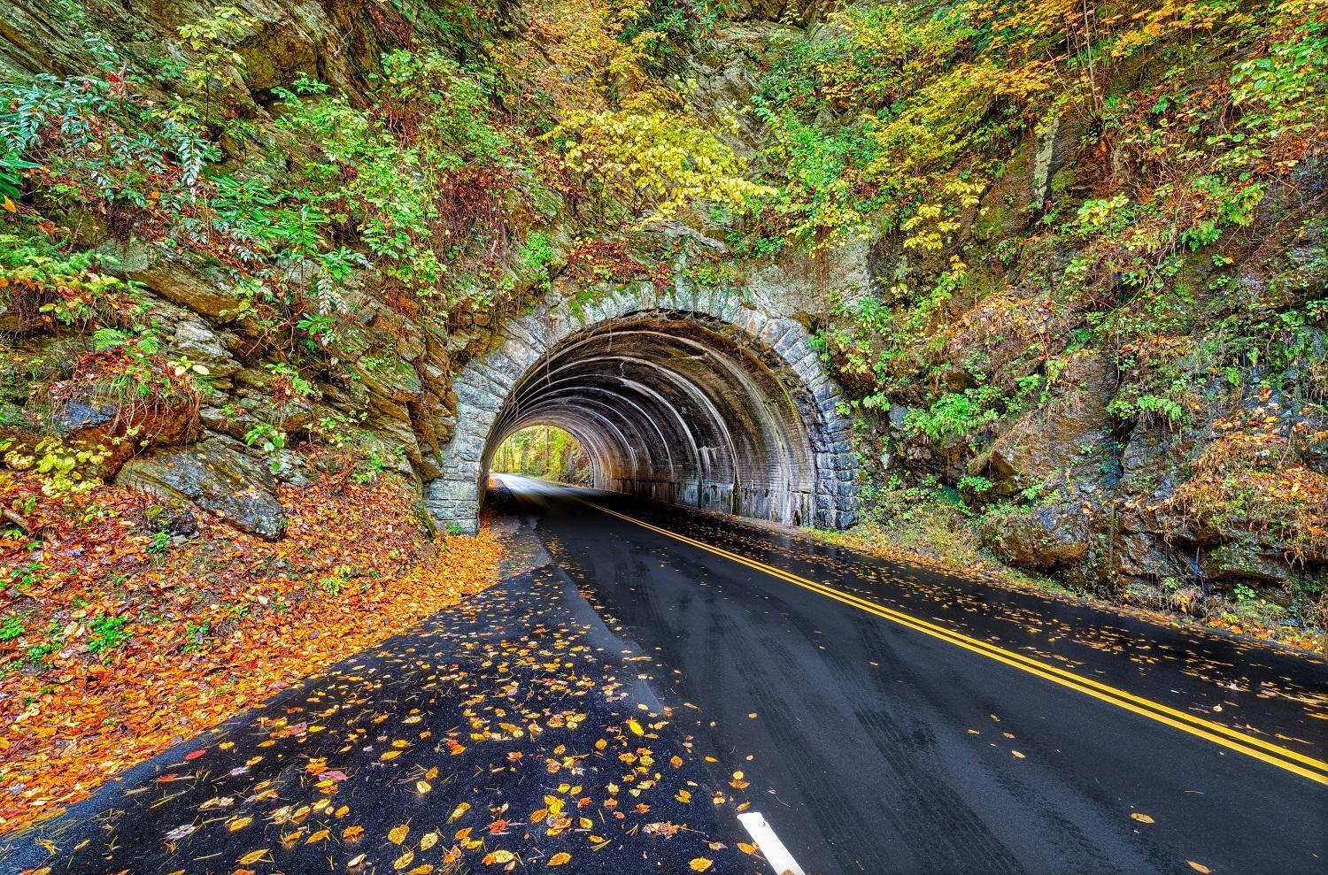 Hemlock Hollow, Pool Access, 1089 Free Tickets Each Paid Day, Dollywood And More Sevierville Ngoại thất bức ảnh