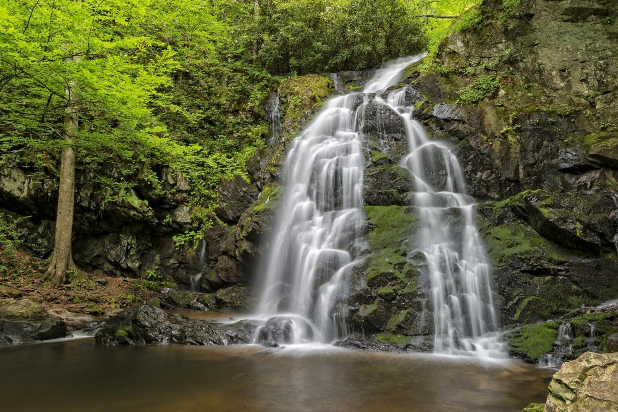 Hemlock Hollow, Pool Access, 1089 Free Tickets Each Paid Day, Dollywood And More Sevierville Ngoại thất bức ảnh
